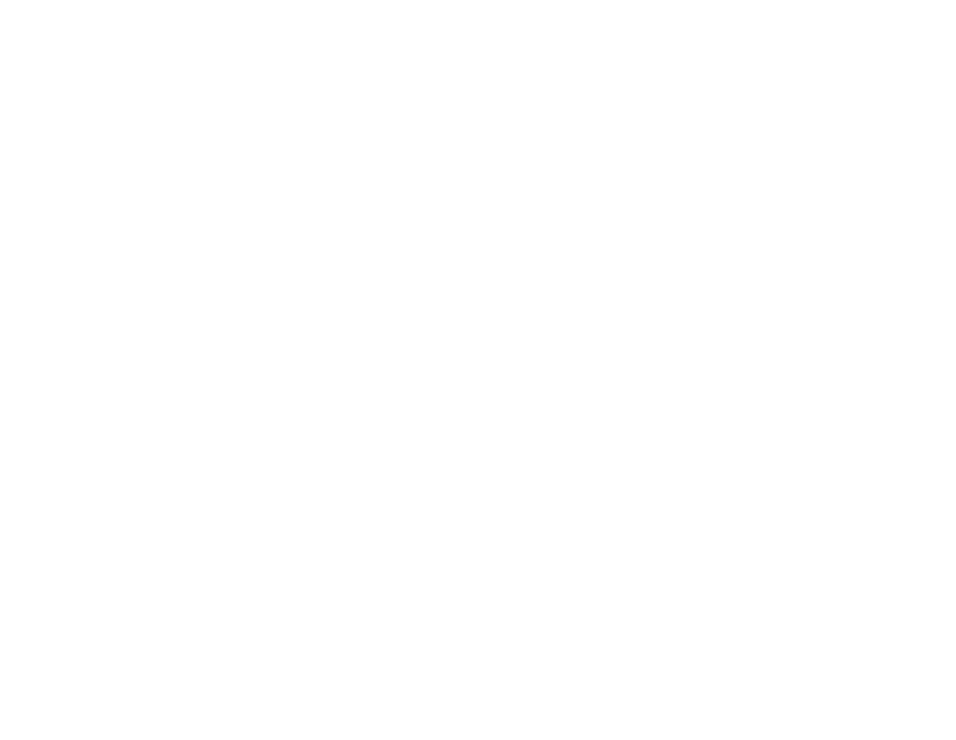 Koneksyon